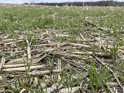 No-till-reduced tillage